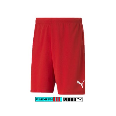 Puma Team Rise Short HR 704942-01 Rood